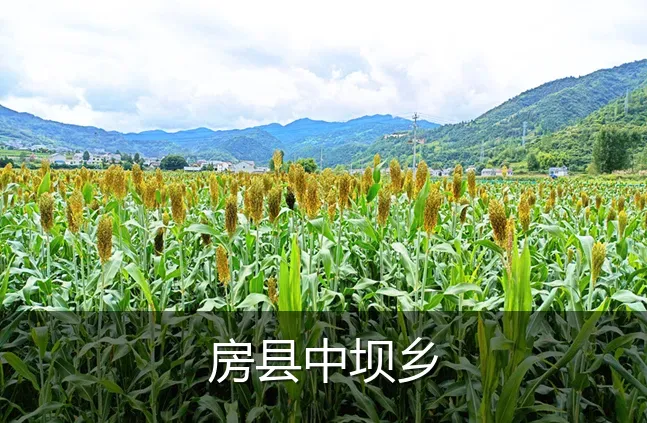 房县中坝乡