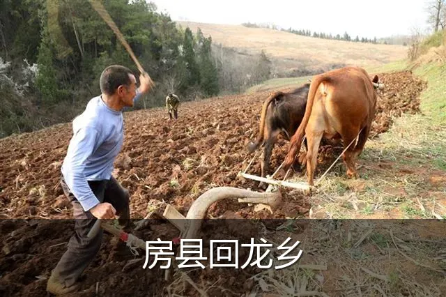 房县回龙乡