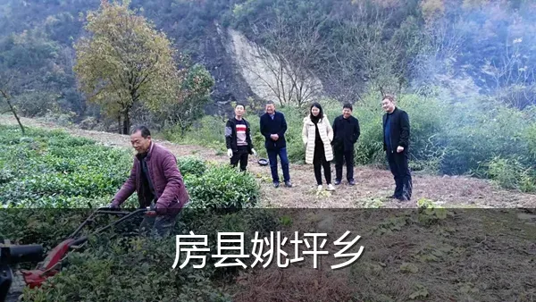 房县姚坪乡